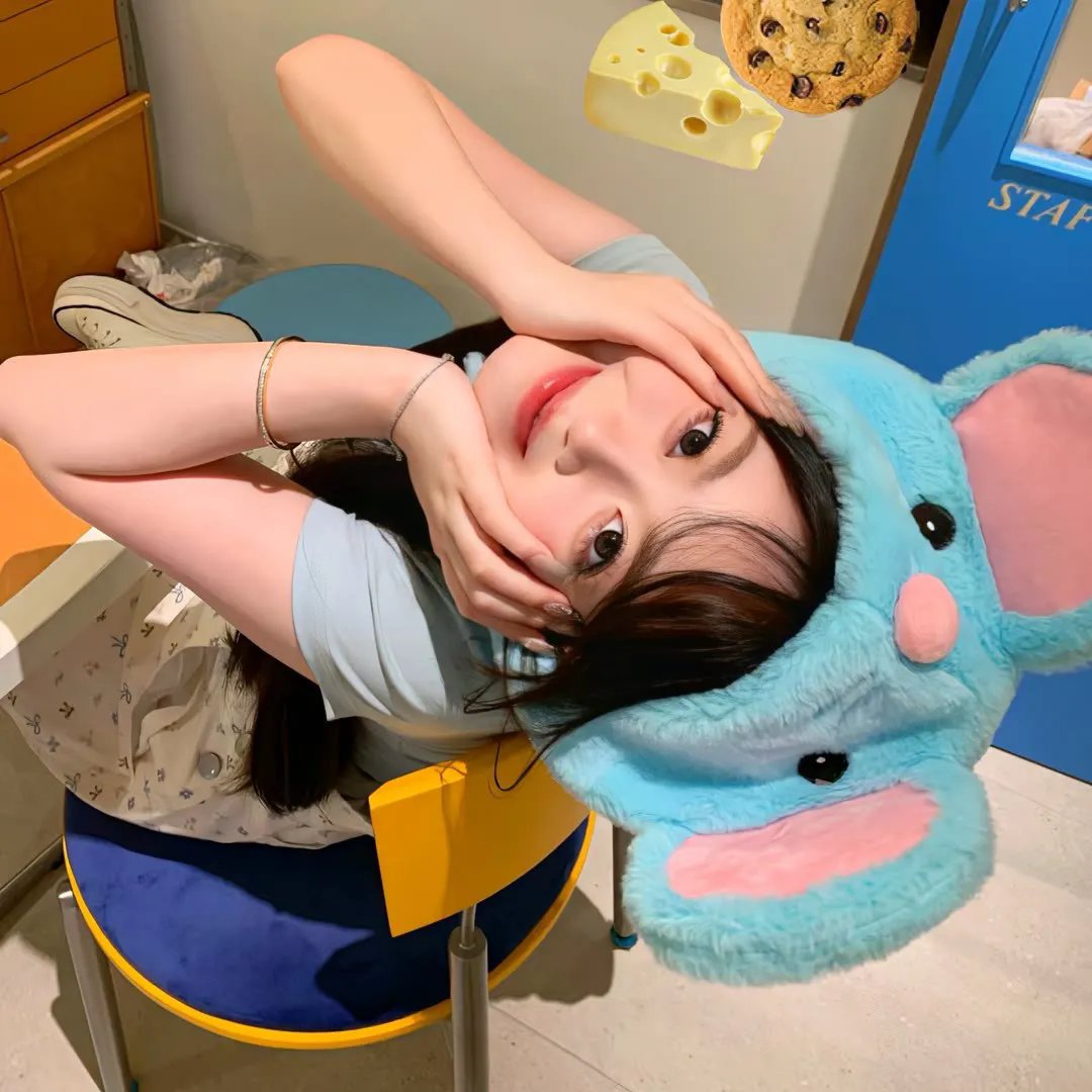 海蒂