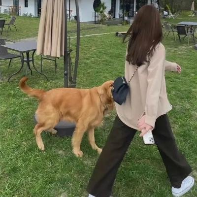 灵魂时钟